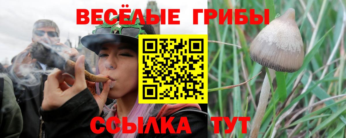 Балашов  Псилоцибиновые грибы ЛСД  Вход с VPN  Псилоцибиновые грибы ЛСД 